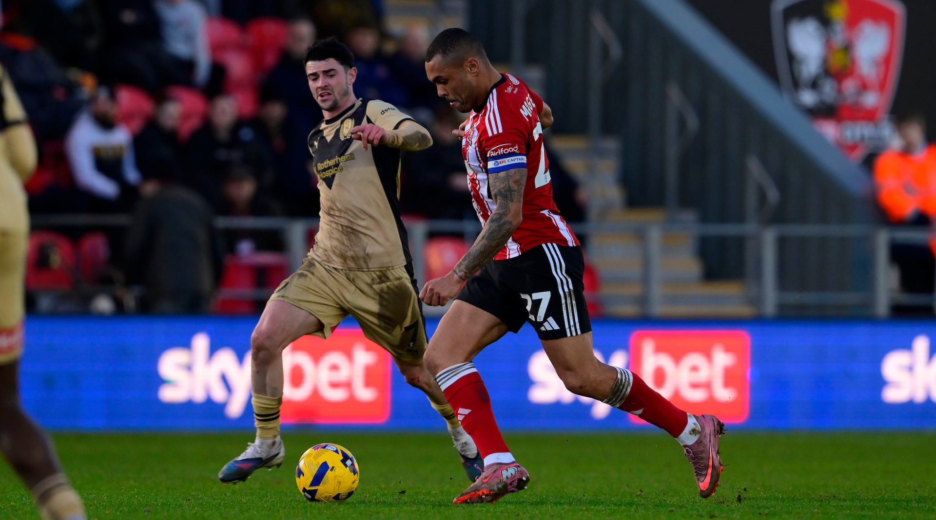 Exeter City stunned as Rotherham run riot at St James Park