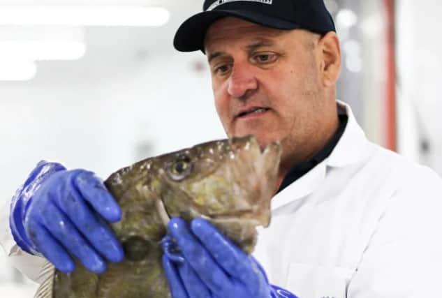 Brixham fish market lands record-breaking £77million worth of fish