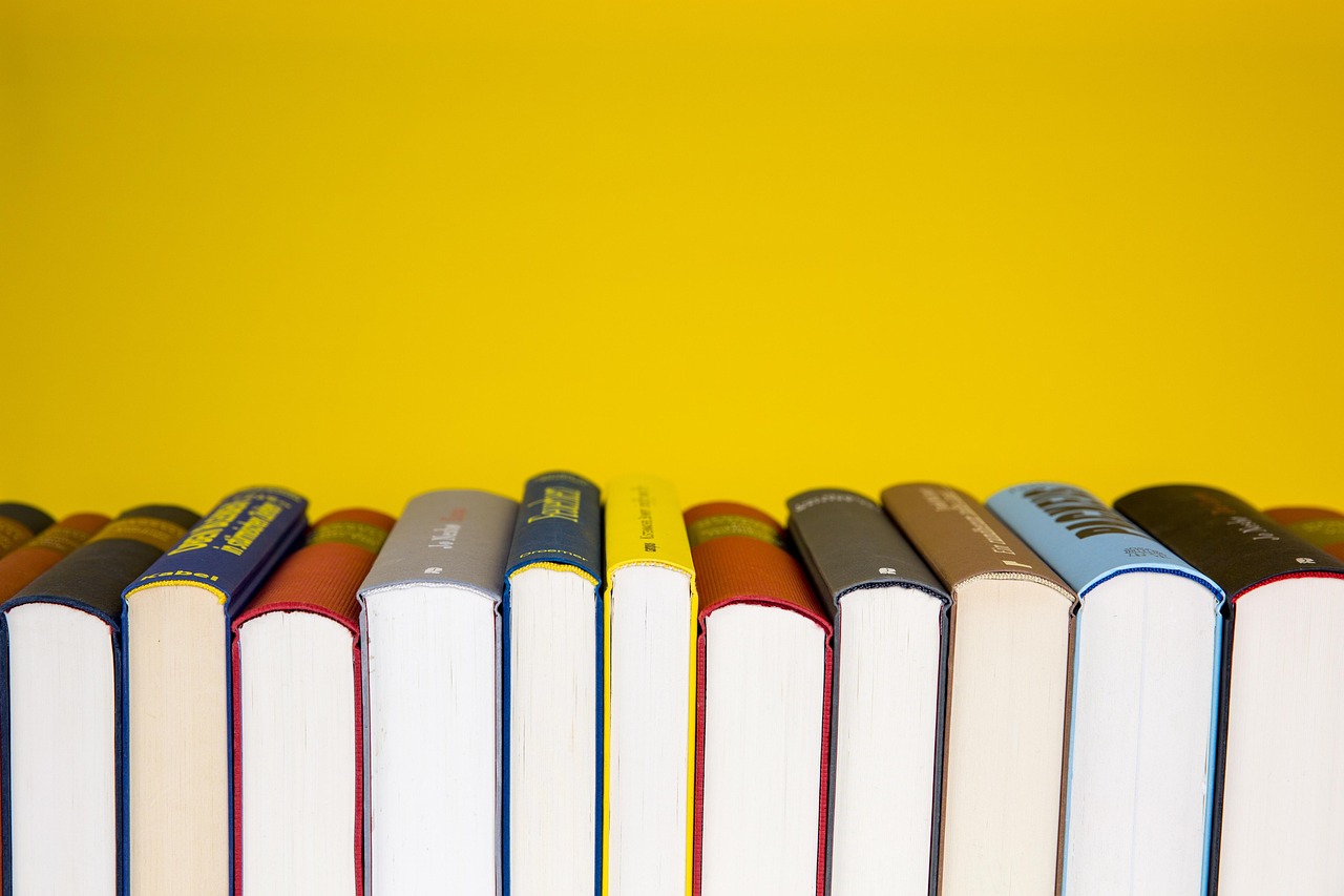 Dartmoor communities urged to help shape future of Devon’s 50 libraries ...