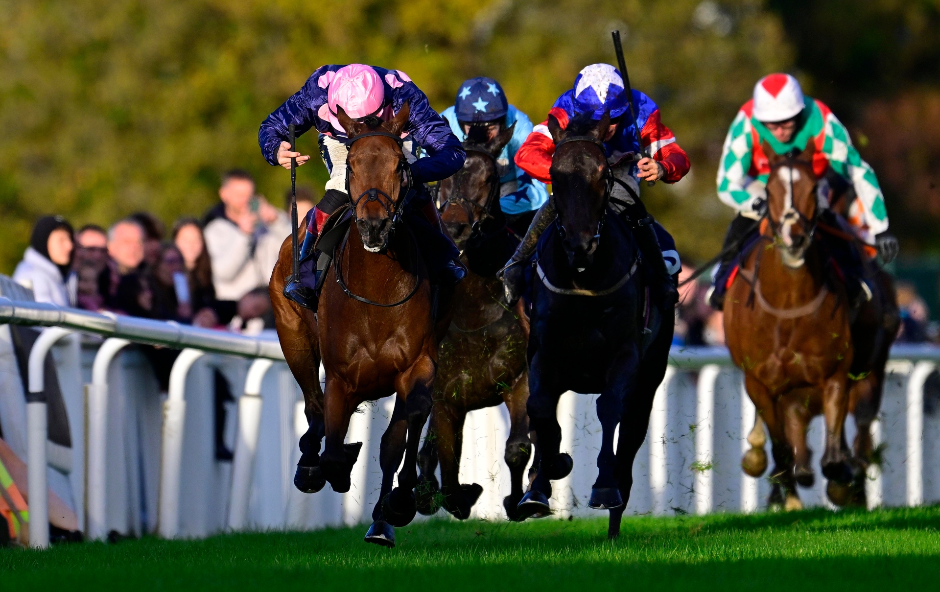 Newton in numbers: The stats behind a sensational summer at Newton Races
