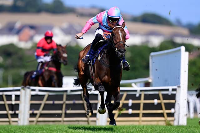 Newton Abbot Racecourse prepares for grand finale with October events