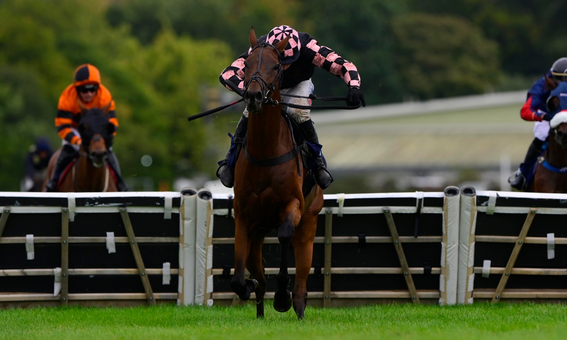 Late sprints and dramatic finishes sum up the day at Newton Races
