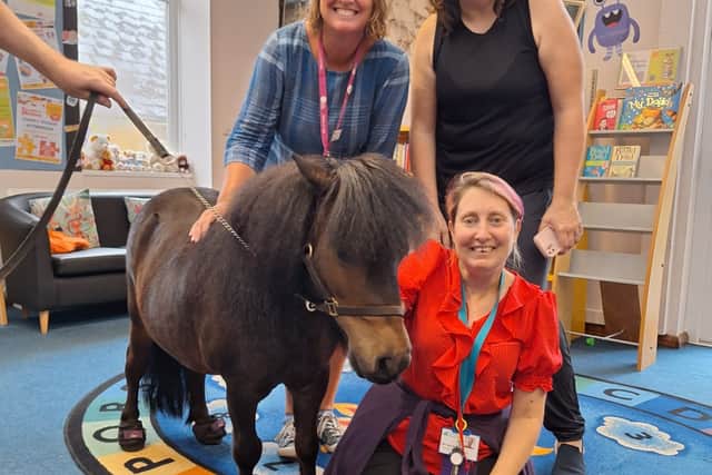 Churston Library: The small library doing big things