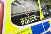 The collision happened on the A381 in Halwell shortly before 8pm on Tuesday October 13. 