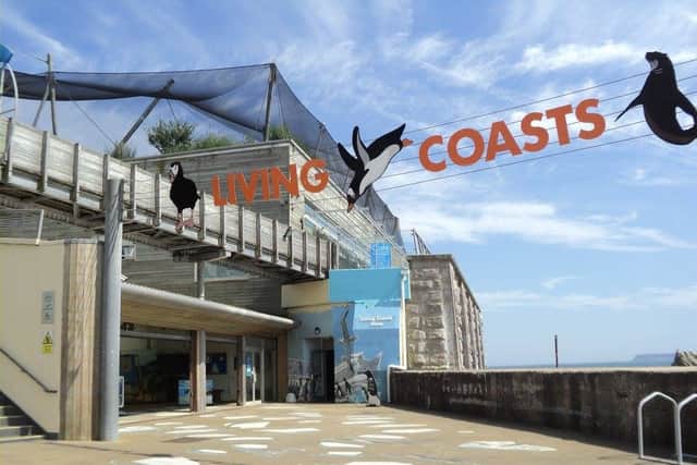 The death and injury that led to the closure of Torquay's Marine Spa