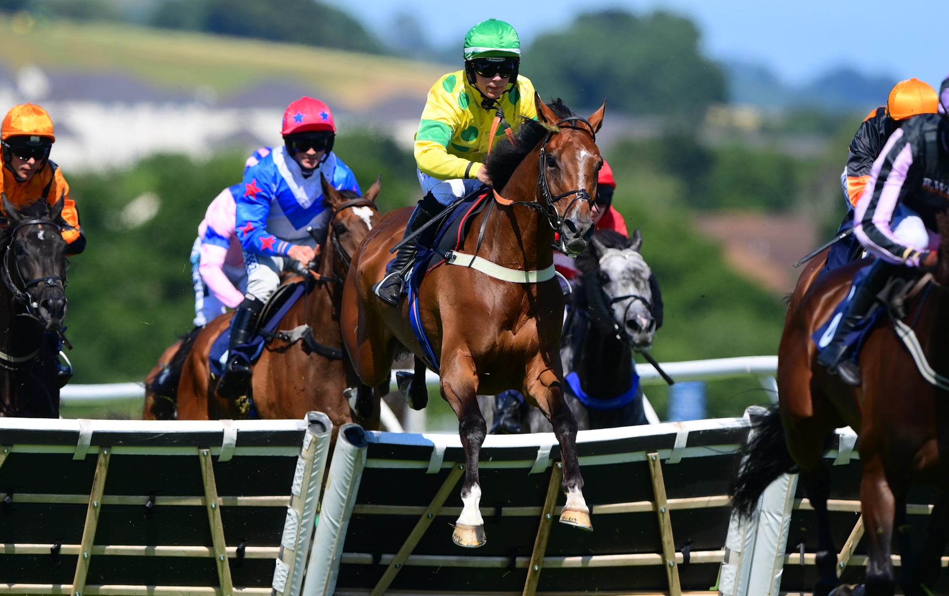 Investigation into tragic day at Newton races