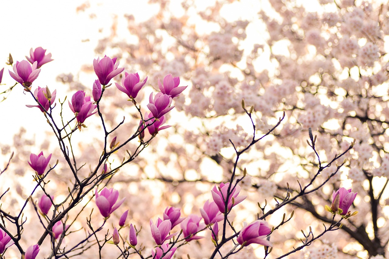 Stephen Coombes captures the slow arrival of Spring in Devon