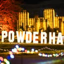 Powderham at Christmas