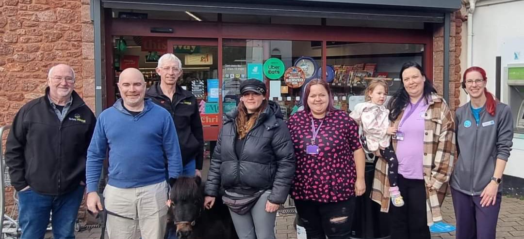 The rise to stardom of Patrick the pony
