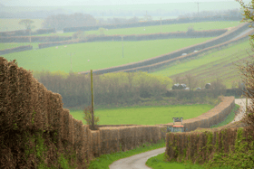 Devon country lane