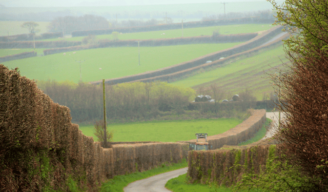 Devon country lane