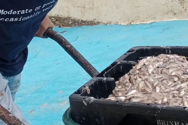 Plea for supporters to become members of Brixham's Shoalstone seawater pool