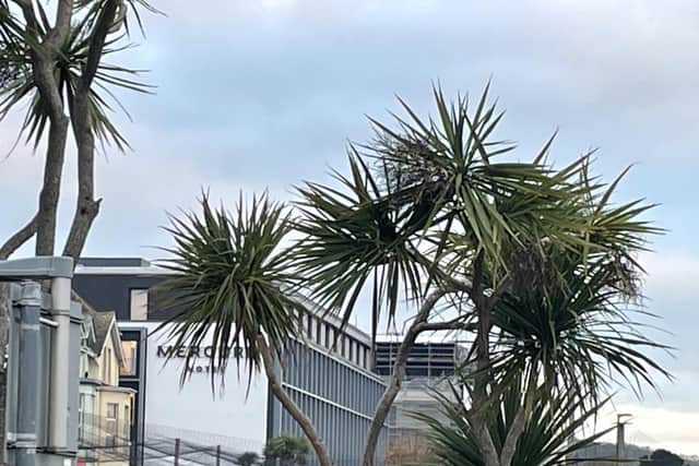 Across the Bay, the Fragrance Group's two seafront hotels in Paignton are moving forward at pace with the Mercure Hotel name now there clearly for all to see on one of them. Next door will be an Ibis Styles hotel.