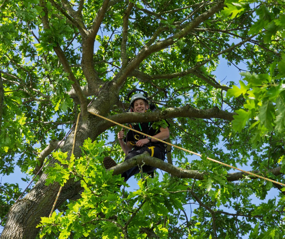 Devon County Show announces great expansion of its Devon Woodlands ...