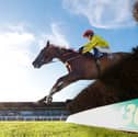 Race winner, Rickety Bridge