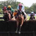 Carpe Diem (left), twice runner-up at Warwick, is entered in the Thatchers Handicap Chase(David Pratt Photography)