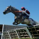 Summer racing at Newton Abbot