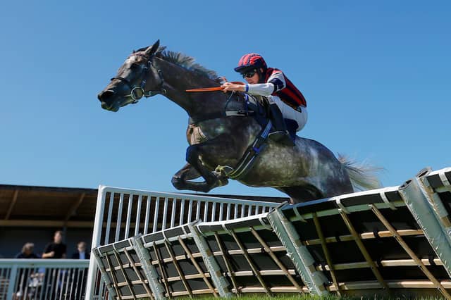 Summer racing at Newton Abbot