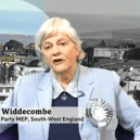 Ann Widdecombe speaking on the BBC's Victoria Derbyshire show Image from BBC clip from a video shared on Twitter