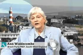 Ann Widdecombe speaking on the BBC's Victoria Derbyshire show Image from BBC clip from a video shared on Twitter