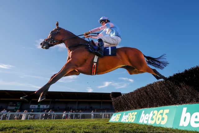 Breaking Cover ridden by Chad Bament