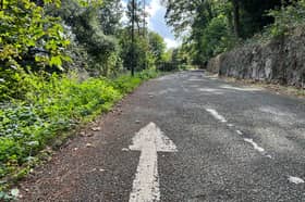 Plans for a new ramp on the Rainbow Drive section of Hospital Trail in Torquay have been developed 