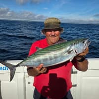 Devon coastal waters deliver bonito, bream and record-busting catches