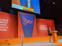 Kitty Dawson on the stage and big screen at the national Liberal Democrat party conference