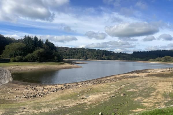 Burrator Reservoir, which serves Dartmoor, is currently at 33 per cent capacity, but other areas are far lower. 