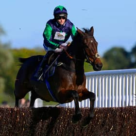 Race Winner, El Capitaine ridden by Brendan Powell