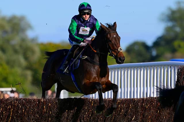 Race Winner, El Capitaine ridden by Brendan Powell