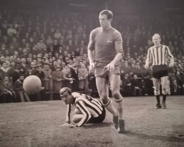 Robin Stubbs The Prince of Plainmoor