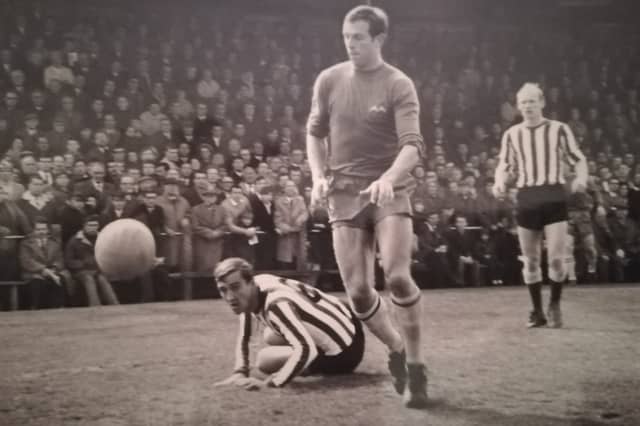 Robin Stubbs The Prince of Plainmoor