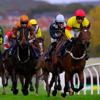 Halloween fun on the final day of racing season at Newton Abbot