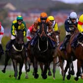 Final day of the Newton Abbot season