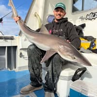 Anglers brave the storms to land Huss, Rays and a 40lb Tope