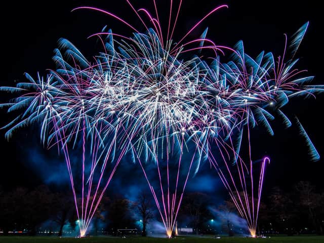 Paignton vets explain why some dogs find fireworks terrifying while some barely react 