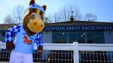Big month at Newton Abbot Racecourse promises fun, racing and free pints of tribute Big month at Newton Abbot Racecourse promises fun, racing and free pints of tribute
