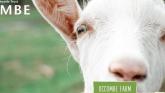 Occombe Farm to close