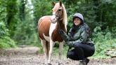 VIDEO: &lsquo;We developed this wonderful bond&rsquo; &ndash; rescue pony finds forever home with groom