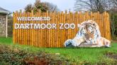 Record attendance at Dartmoor Zoo follows new ticketing changes and investment in facilities and habitats (Image- Kira Butters)