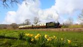 South Devon Railway to host Easter gala weekend