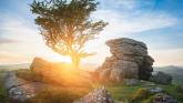 Best New Year walks to try across Dartmoor&rsquo;s rugged landscape