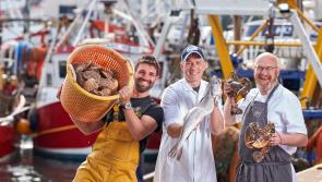 Culinary celebration of the Riviera's world-renowned seafood with return of England's Seafood FEAST