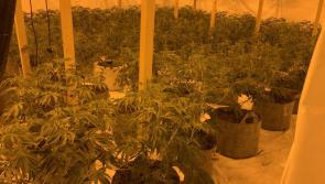 Police raid £350,000 Torquay drugs 'factory'
