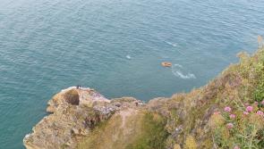 Lifeboat crew rescue child clinging to bouy off Brixham's Berry Head