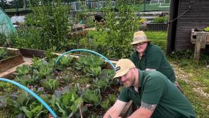 Community Matters: New job role to help build stronger bonds across Torbay