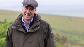 Prince William visits Wistmans Wood - home of the 'hellhounds!'