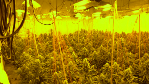 Peter Moore: Cannabis has a long history - but it is a dangerous drug