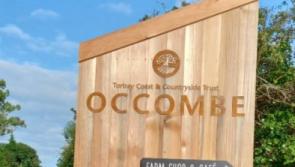 Business as usual after blaze alert at Torbay's Occombe Farm
